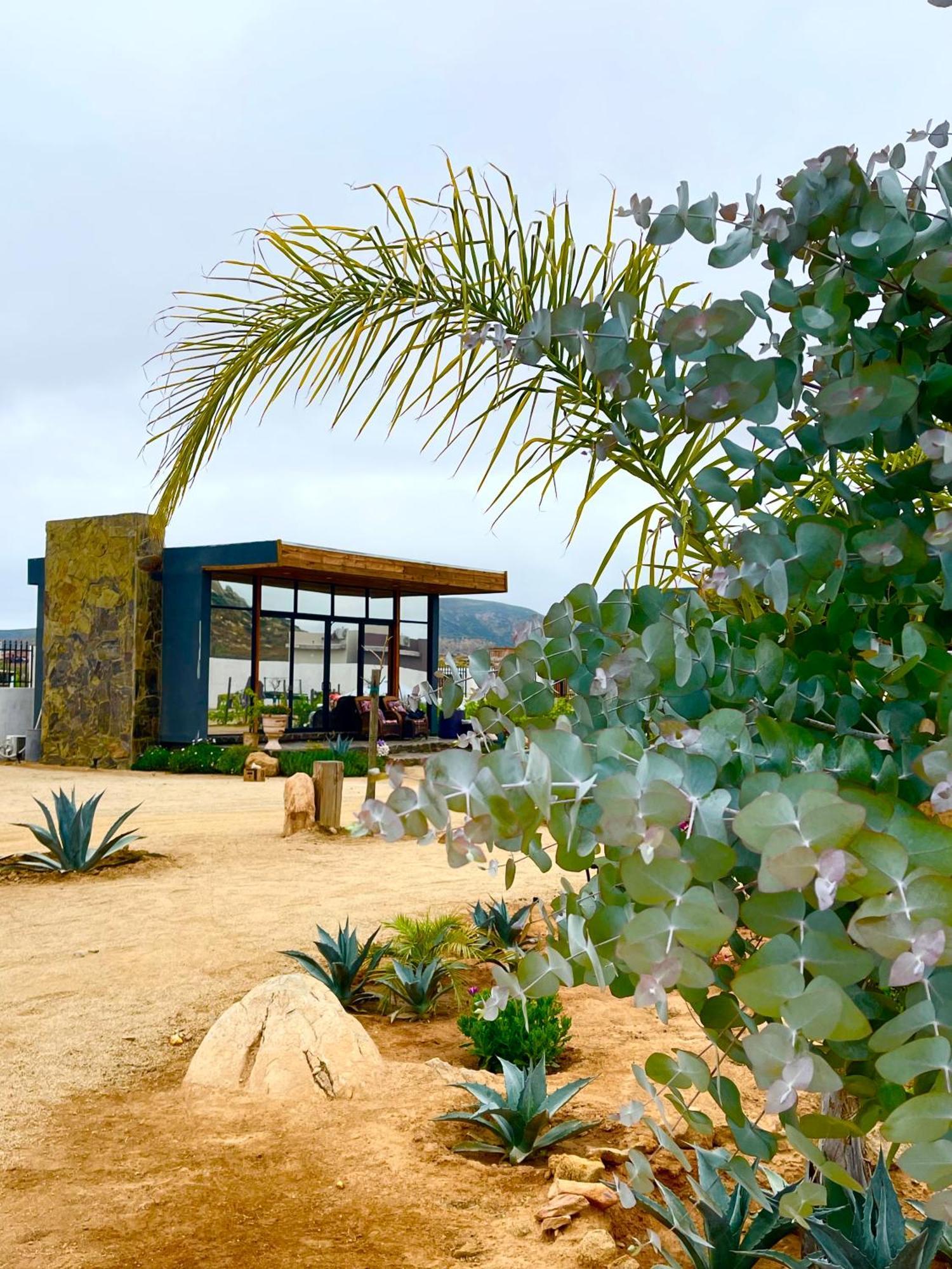 Hacienda 7 Amores El Porvenir Exteriör bild