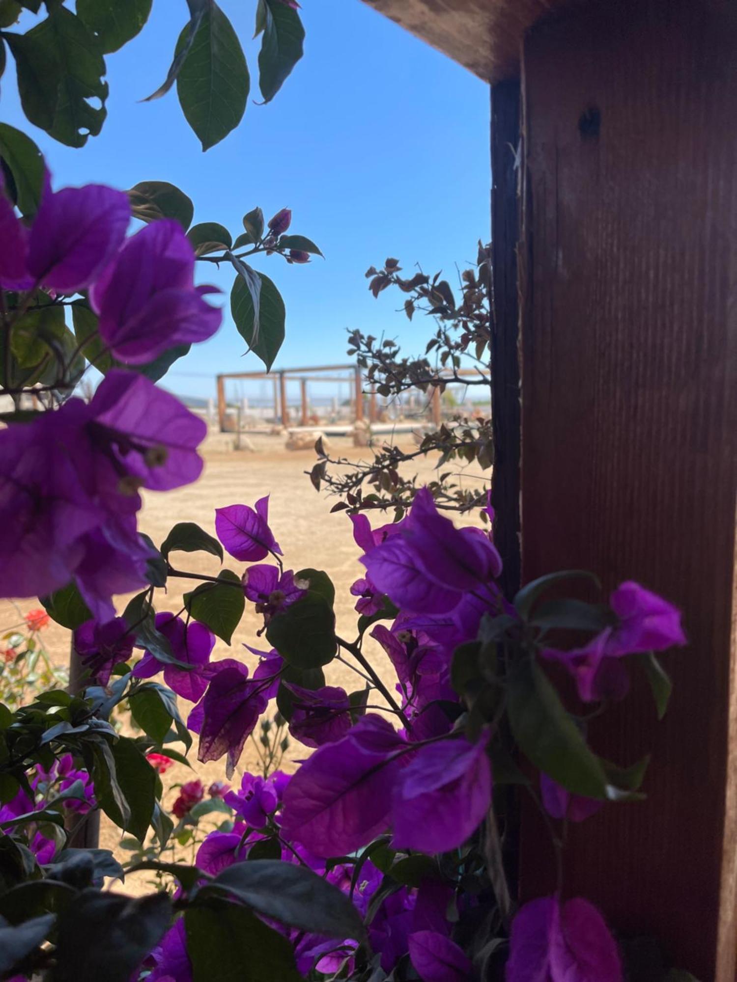 Hacienda 7 Amores El Porvenir Exteriör bild